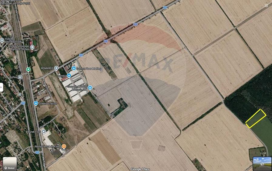 Teren intravilan Buftea la Padure
