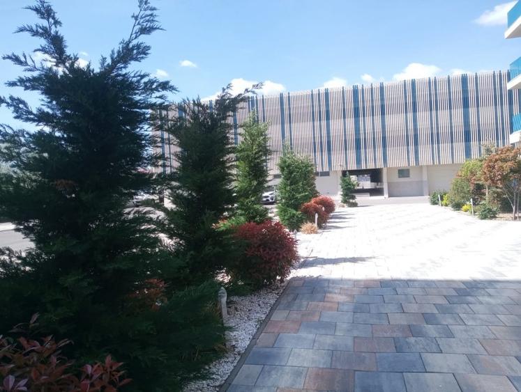 Studio Mamaia Nord