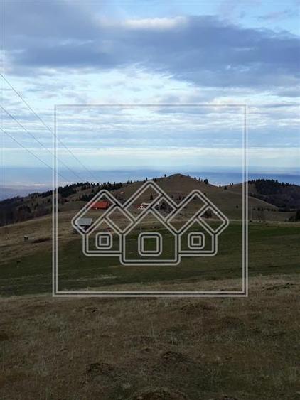 Teren in Paltinis - ideal pentru investitie