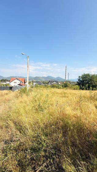 ZONA CASTEL TRANSILVANIA -str. VRANCEI -casa parter la rosu cu teren 1678mp!