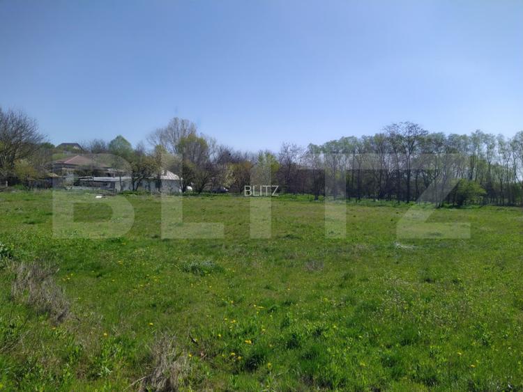 Teren EV și IV cu casă, 29.600 mp, utilități și acces facil, Albești - 12