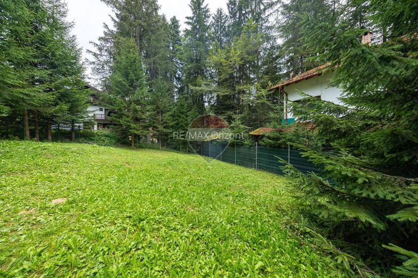 Casa 5 camere | viata la marginea padurii, intre brazi si liniste - 24