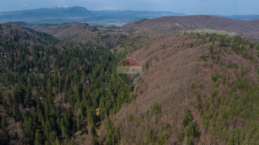 Teren intravilan, 56000 mp, Poiana Brașov