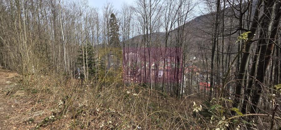 Tere intravilan de vanzare in Sinaia