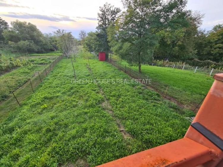 Casa noua P+1 curte si teren zona Streisangeorgiu