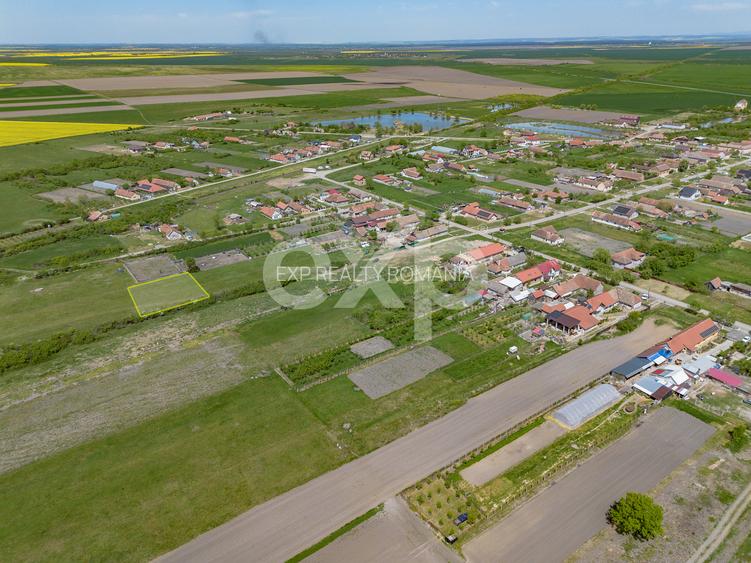 DE VÂNZARE: 1.448 MP DE „LINIȘTE PURĂ” LA NIȚCHIDORF - 4