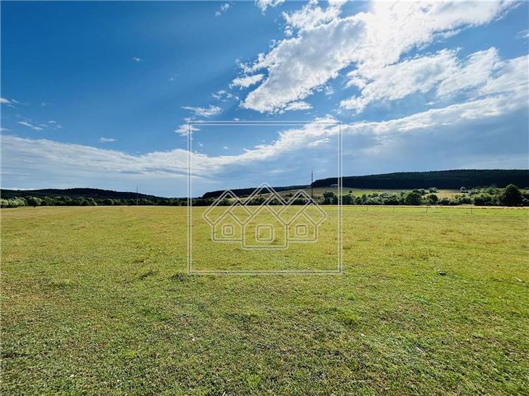 Teren intravilan, 5861 mp - Tocile