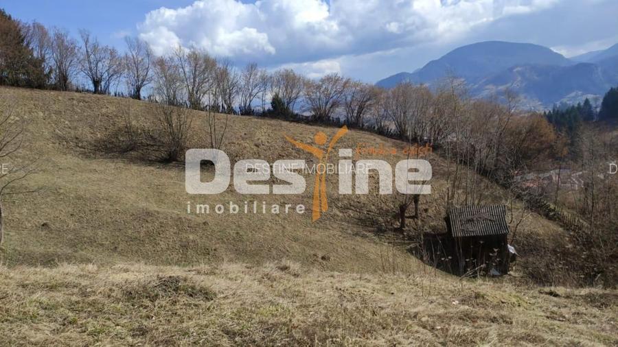 Teren 5000 mp, ideal cabana, pensiune,  in zona de interes  turistic  Rucar-Bran - 4