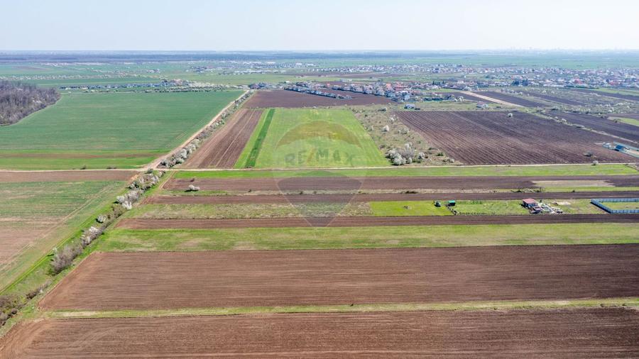 Vanzare teren intravilan 500 mp Sabareni /  Strada Orhideelor