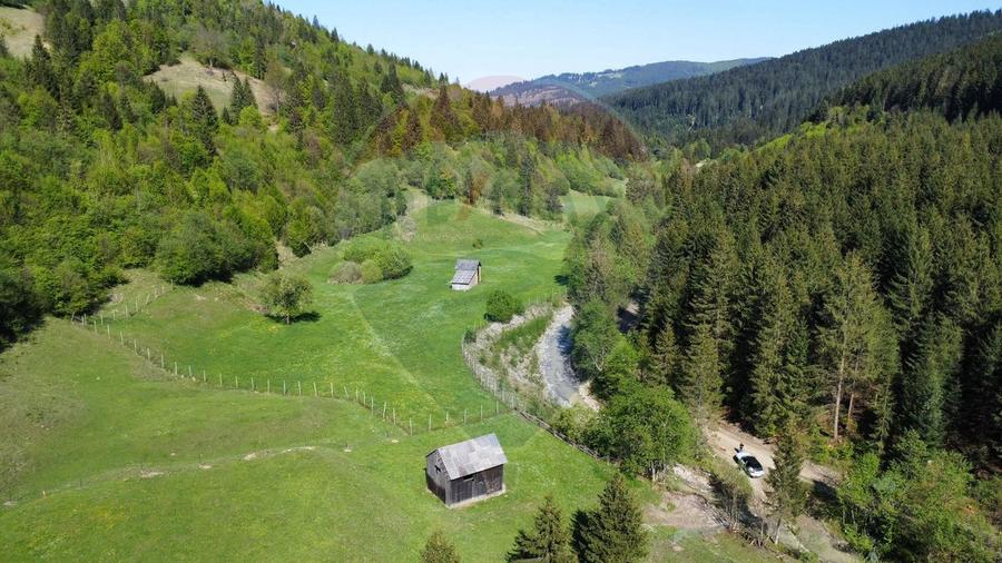 Teren 12,127mp Frasin / Drumul Forestier Valea Seacă