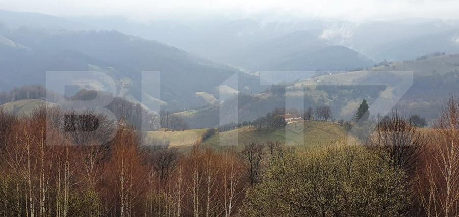 Teren 9648 mp, priveliste superba, Poiana Marului!