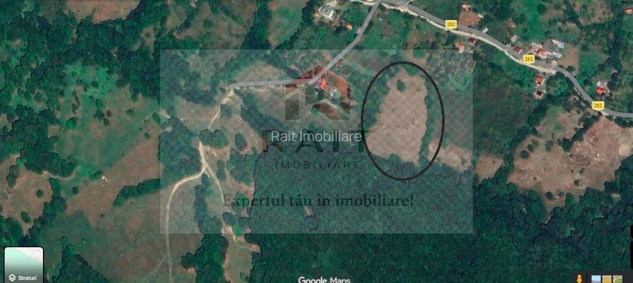 Teren extravilan de vânzare 11.740 mp Corbeni Turburea Argeș - 3