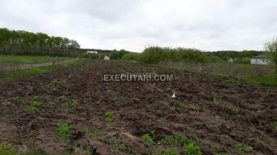 SNAGOV SAT - Teren- 2410m² - Toate utilitatile - Zona de Vile - 2