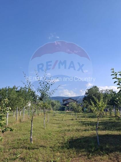 Casă / Vilă cu 4 camere de vânzare - 6
