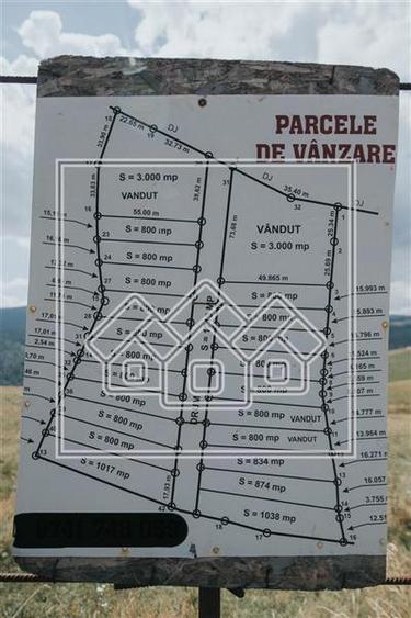 Teren intravilan constructii - 3000 mp - Paltinis