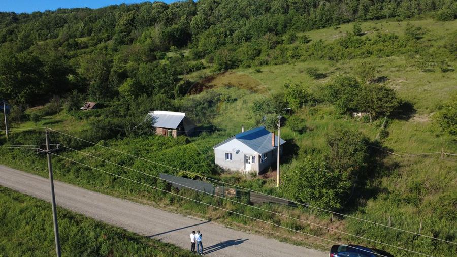 Casa de vanzare in Valea Salciei