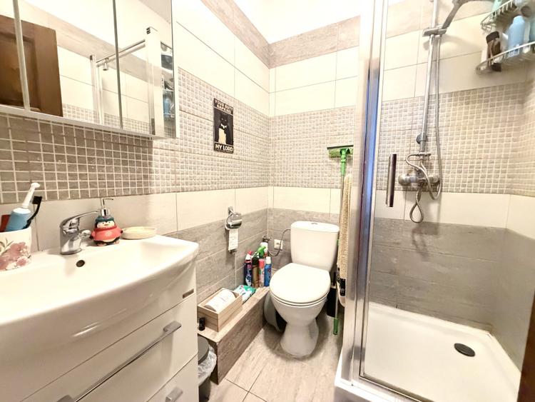 Triplex pe colt, 3 camere, 94 mp utili, 250 mp teren - Dumbravita