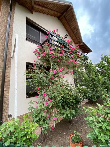 Vanzare Vila Moderna P+M, 6 camere, teren 1622 mp, in Galati, zona METRO
