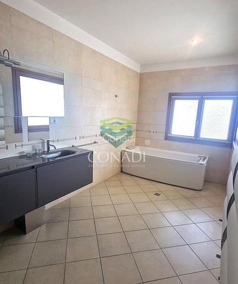 Iancu Nicolae, vila de inchiriat, 5 camere - 11