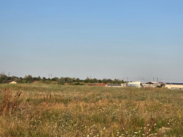 Vanzari terenuri in Agigea