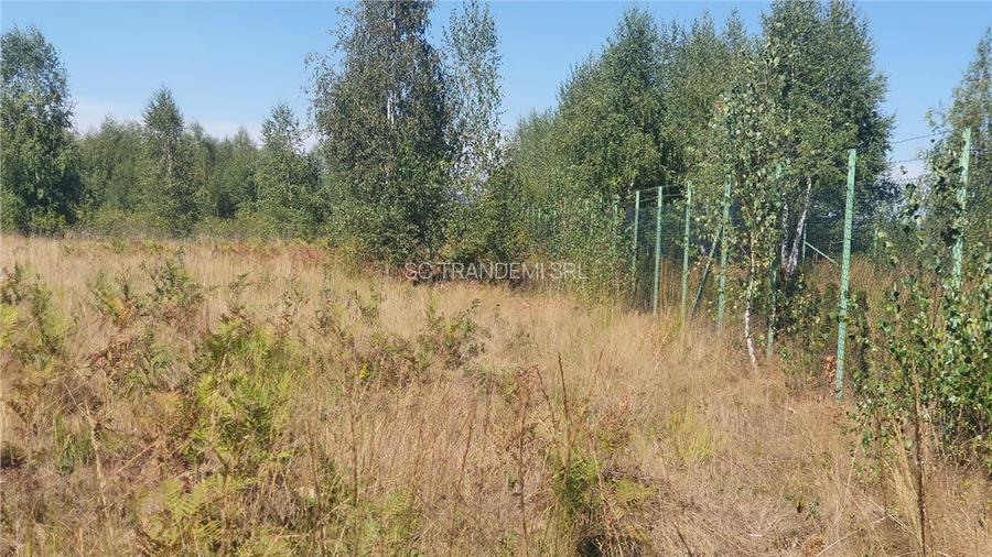Vanzare parcele de teren 862mp / 1740mp pe Valea Avrigului, Județul Sibiu - 6