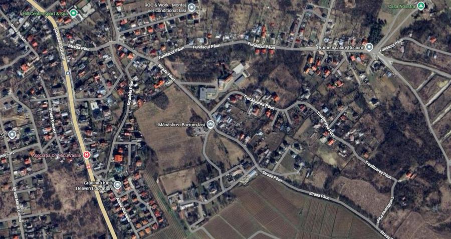 UAT Iasi - Trecatoarea Paun - Teren intravilan Bucium 750mp