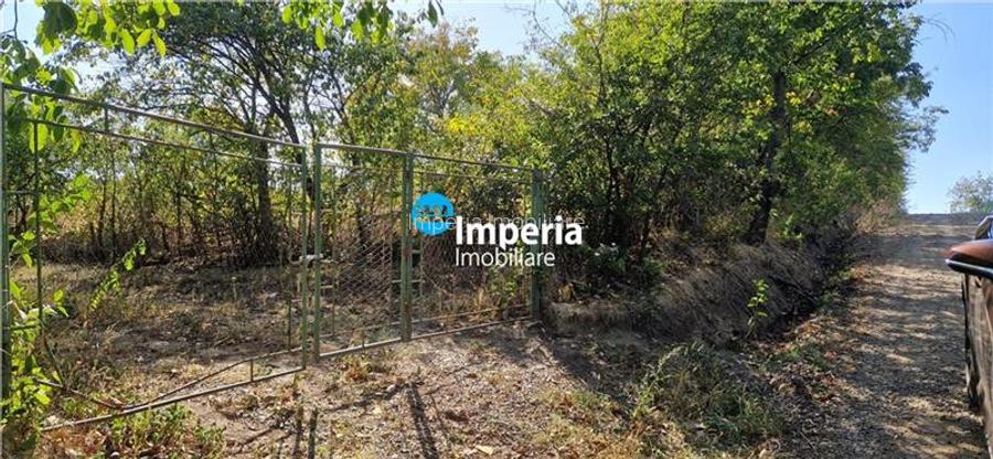 Teren intravilan de vanzare in Iasi, amplasat in zona Holboca-Ruseni - 5
