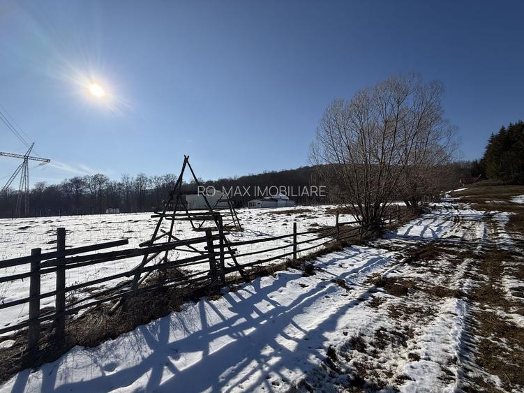 Teren intravilan 4521mp lângă pădure-valea Doftanei -Calea Brasovului - 9