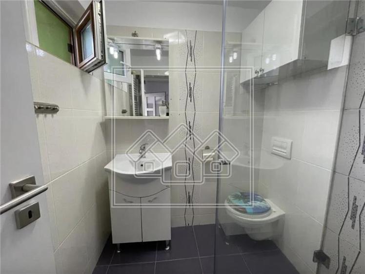Apartament 2 camere la casa cu terasa - Parcul Sub Arini