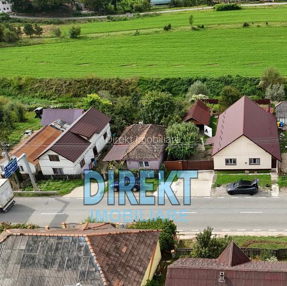 Casa de vanzare, localitatea Viile Tecii - 10