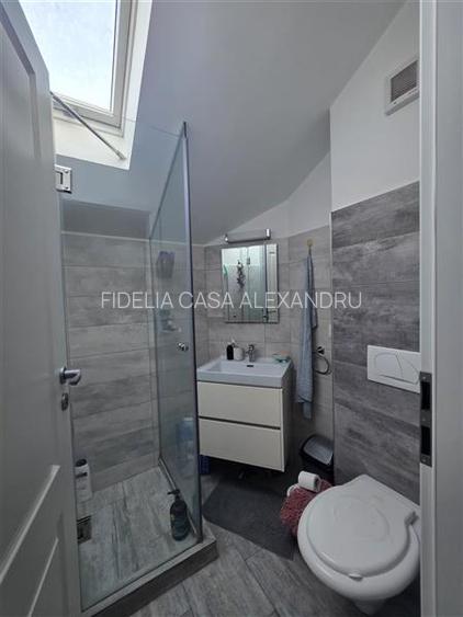 Apartament 3 camere V.Lupului, la 800 m de Sos.Pacurari - 10