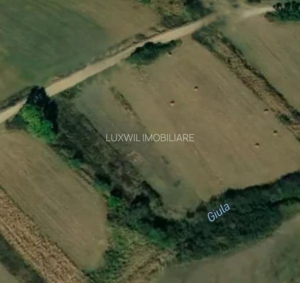 Vânzare teren în GIULA - 4