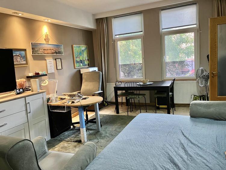 Casă individuală curte proprie Domenii | Grivița | Bd. Ion Mihalache
