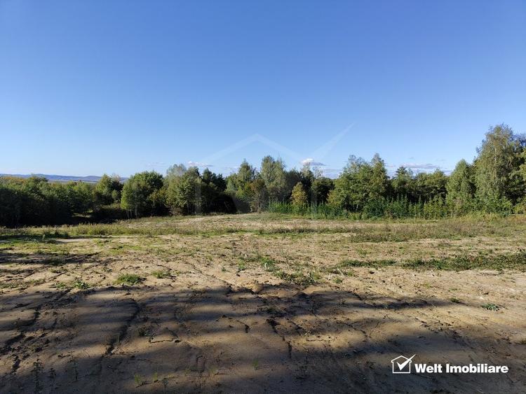 Teren intravilan In Faget, strada Sfanta Maria