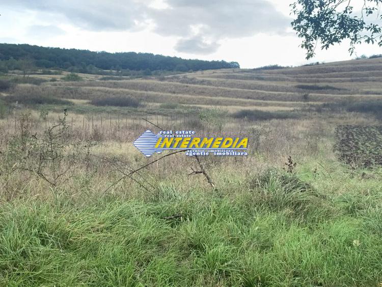 Teren intravilan de vanzare 1248 mp d=15 mTeleac cu utilitati panorama deosebita
