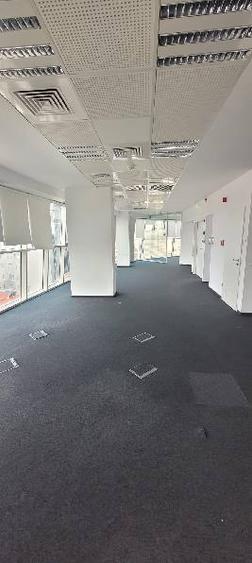 Armand Business Center, Rosetti, 310 - 996 mp 0% comision!