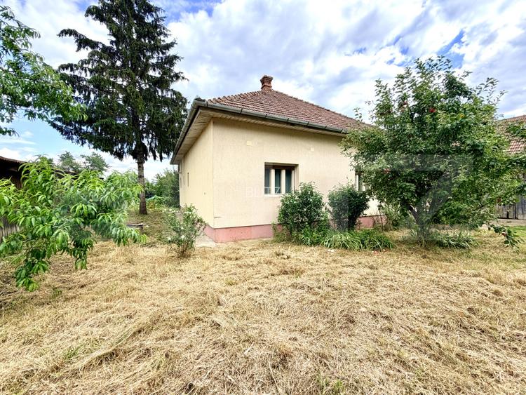 Proprietate cu două case, 145 mp, anexe si teren 1.300 mp, Pâclișa -Alba Iulia - 2