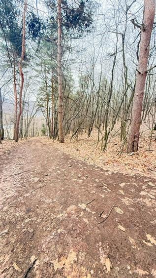 OPORTUNITATE - TEREN PENTRU PARC DISTRACTII!!!