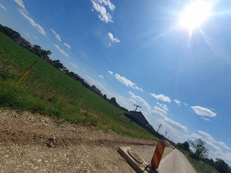 Teren intravilan 1.000 mp | Moara Vlăsiei | Strada Berzei