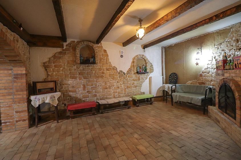 Vila - Busteni