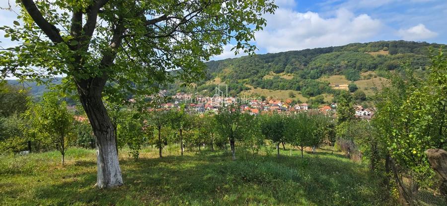 Casă de vânzare în exclusivitate, str. Română nr. 45, Sighisoara - 18