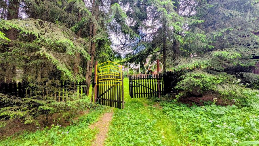 Cabană – Mureș – Sălard – Zona Pensiunea Denisa - 20
