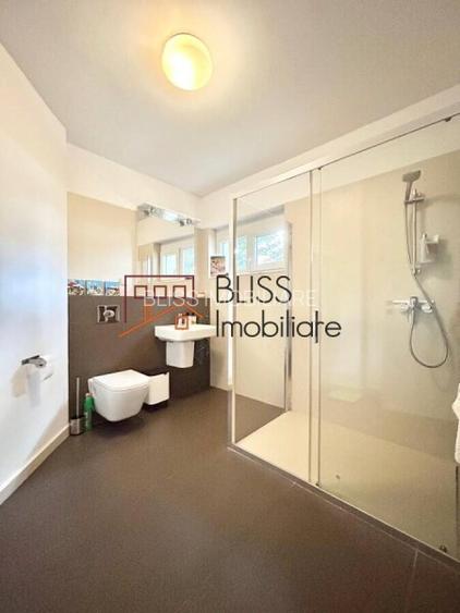 Vilă individuală cu 7 camere, piscină și grădină în zona  Iancu Nicolae British - 16