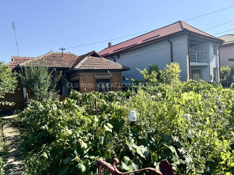 Oportunitate de investiție – Teren 3.000 mp în Gruiu, Ilfov - 3