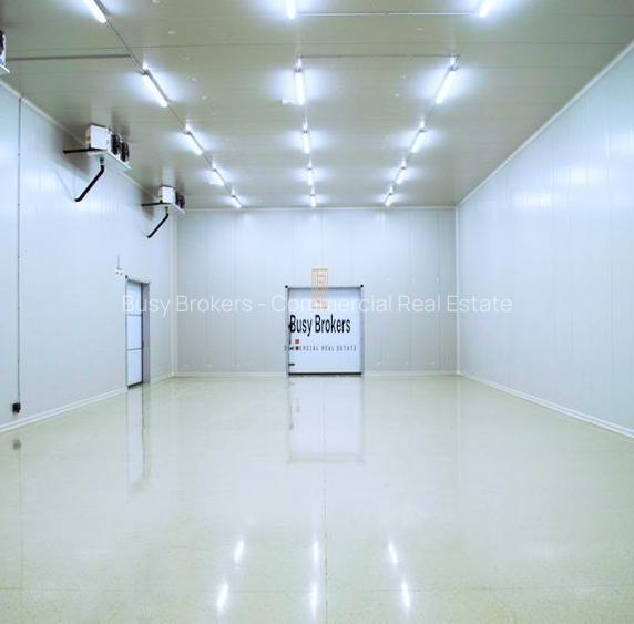 Spatiu Industrial - 1200 mp - Depozitare - Distributie - 8