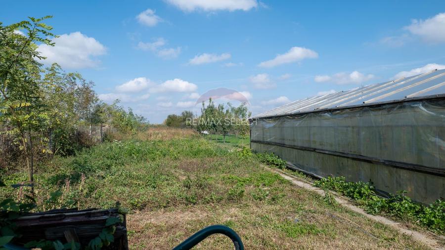 Vanzare vila si spațiu comercial, gradina si garaj-zona Corbii Mari - 18