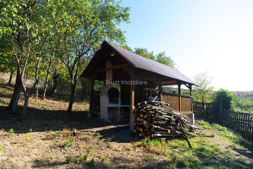Teren Parcelabil I 11400 MP I Corpadea