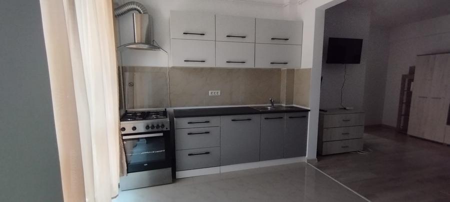 APARTAMENT 2 CAMERE, PARTER, PET FRIENDLY, PARCARE, POPAS PACURARI