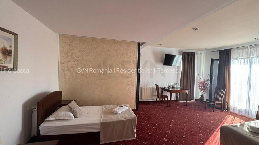 REC3001591 Pensiune Buftea - 6