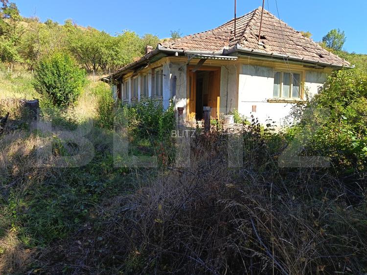 Teren intravilan, 2350 mp, casa demolabila, zona Turda - 4